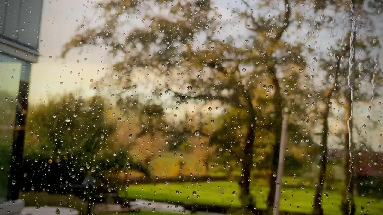 A closeup of raindrops on a transparent glass with the background of trees