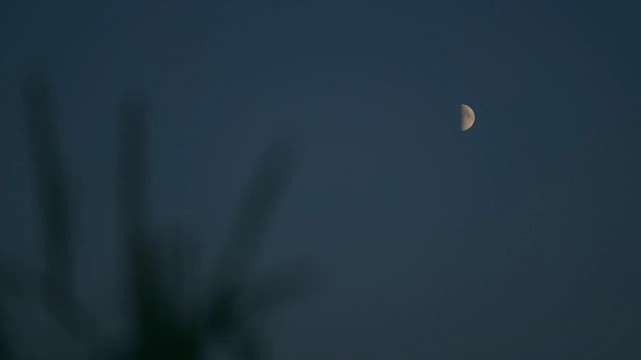 Half moon top right in blue cloudless night