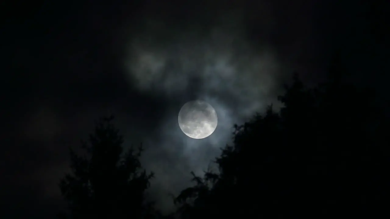 The Full Moon Rising Over Silhouetted Trees During a Powerful Windstorm