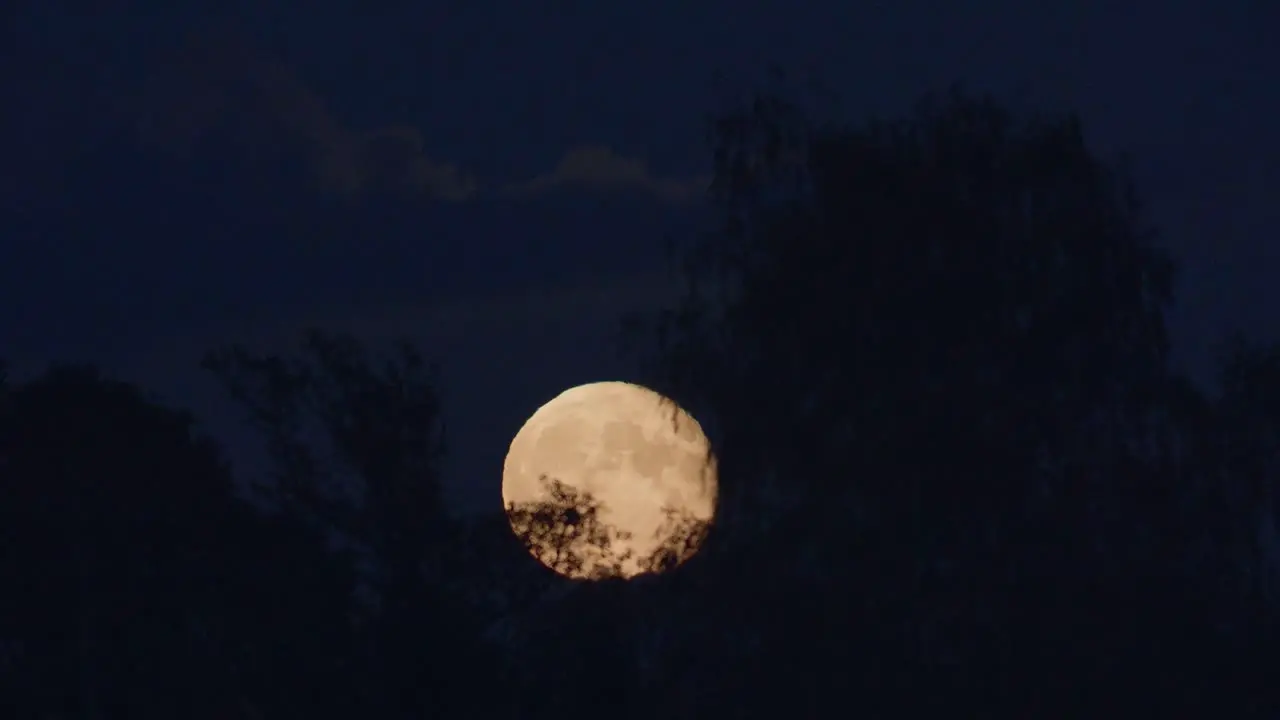 Dramatic low moon rise through thin cloud layer and trees time lapse strong air disturbance