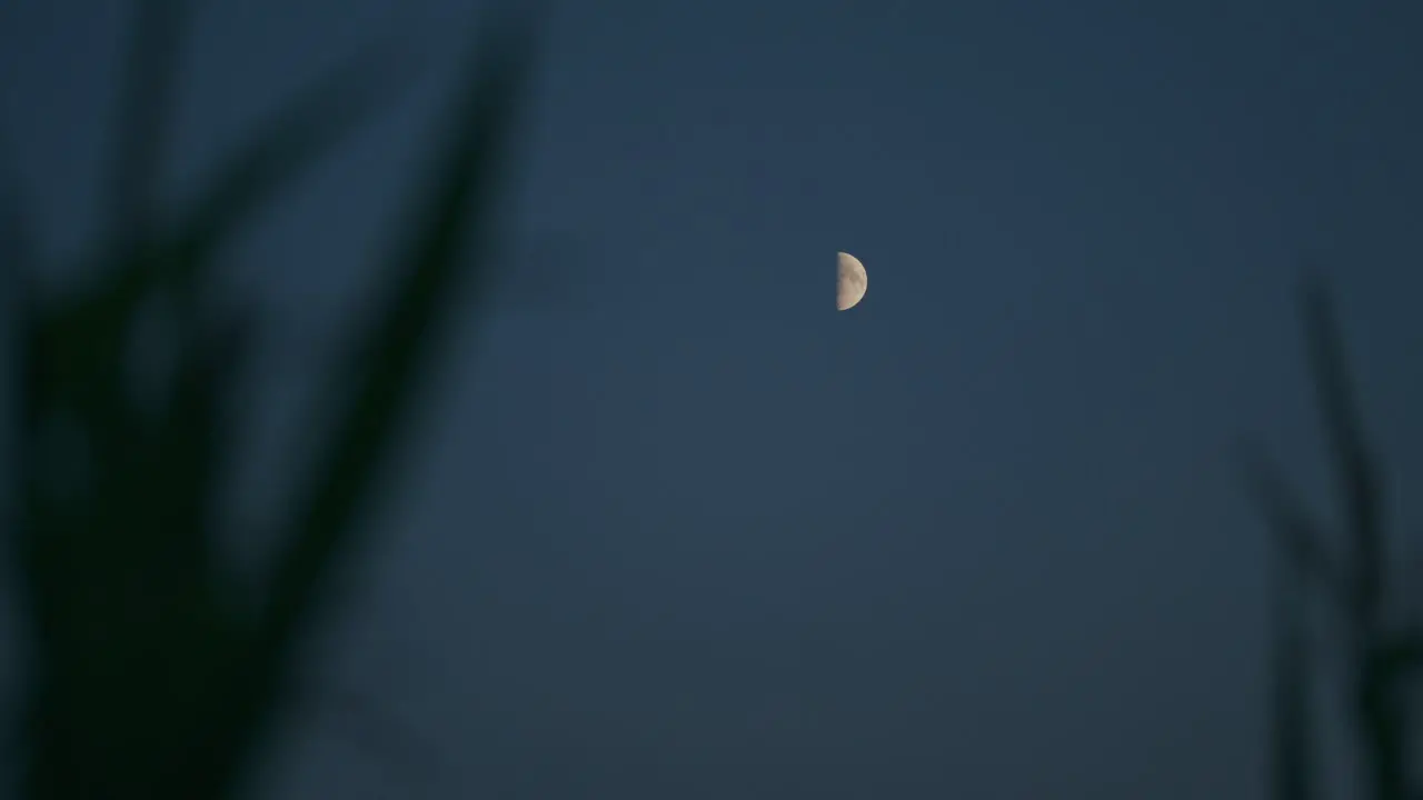 Spooky half moon in moody blue night sky viewd from rural grassland