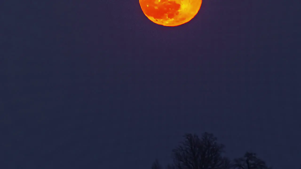 Timelapse of the moon in a crimson hue ascending towards the sky from the ground