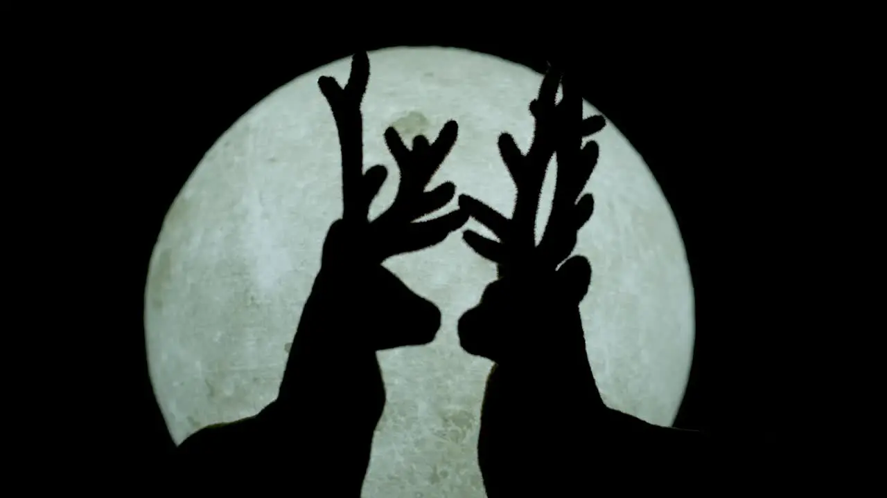 Reindeer silhouettes against Full Moon night background Zoom in illustration