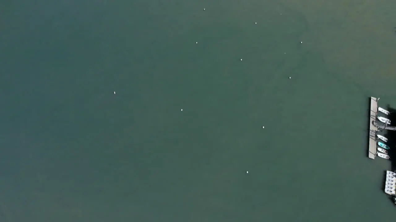 Flying over shorefront of Sausalito Harbor with San Francisco in the background