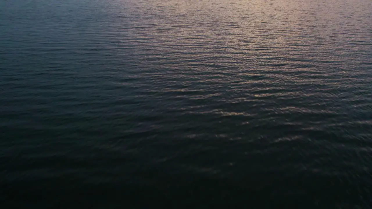 Aerial flyover of boat sitting in an ocean bay at sunset with a seabird flying by