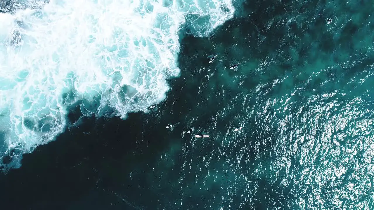 Aerial shot looking directly down at some surfers on the ocean