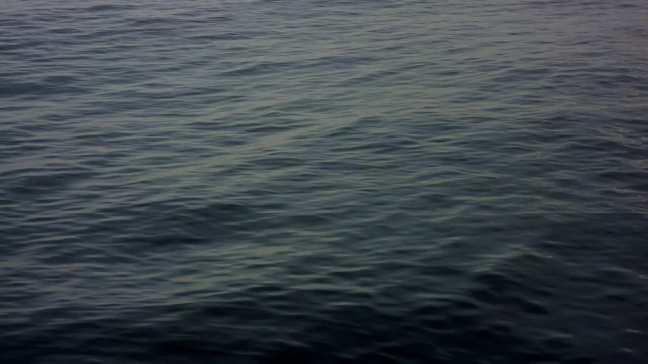 Waves slowly moving in the water out at sea