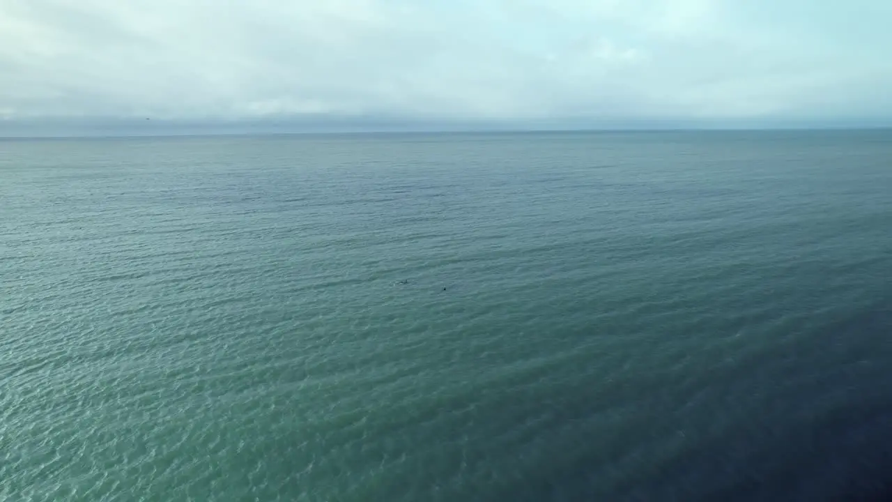 Aerial following dolphin pod swimming in ocean