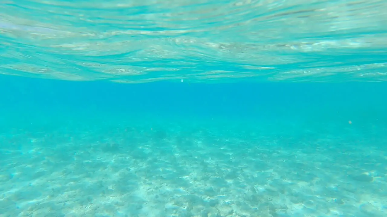 Action camera view from the ocean to the shore