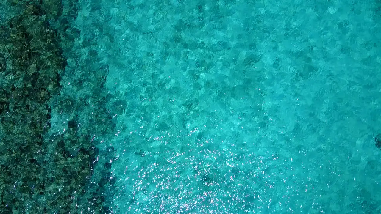 glittering tropical sea on a sunny day