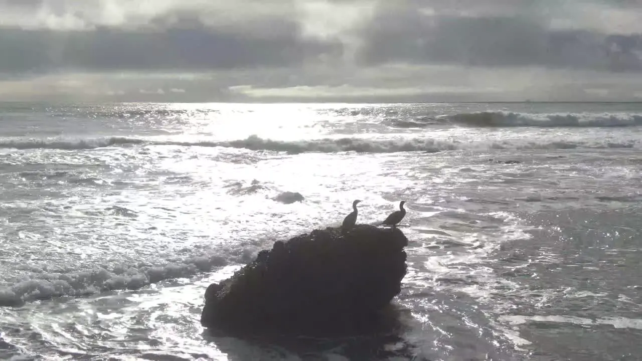 2 birds on an ocean rock silhouetted drone shot 