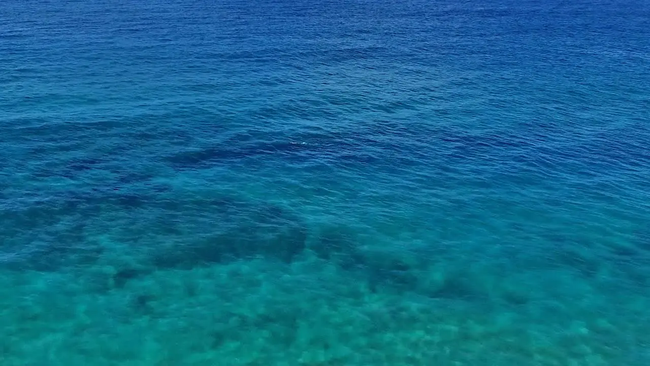 Panning aerial shot of a snorkeler in Maui Hawaii in beautiful with blue water sand and coastline