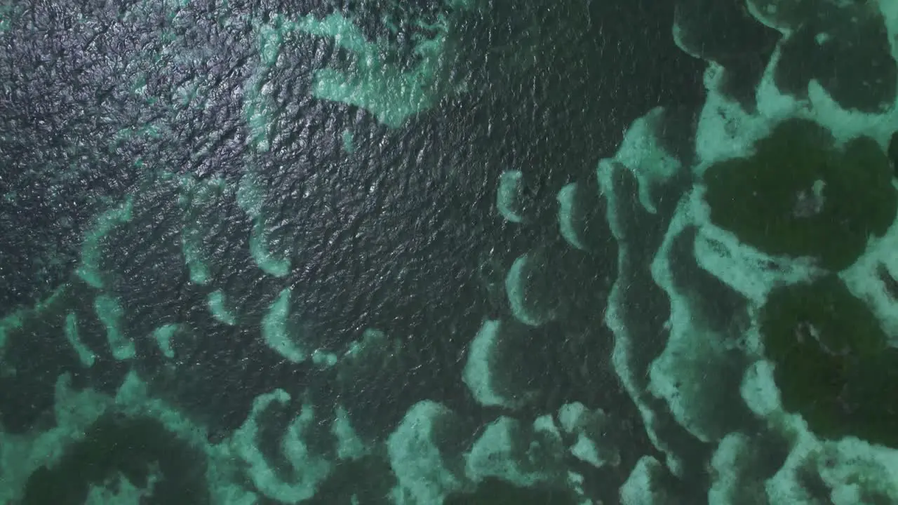 blue water in Seychelles from above in 4k