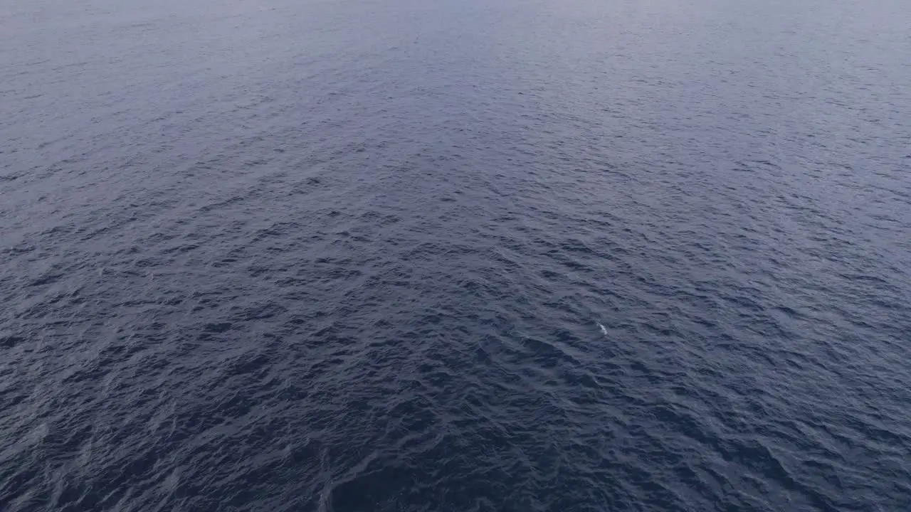 Flying Over The Calm Blue Sea Australian Coast