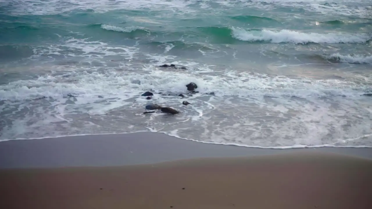 Waves at the beach with little birds passing by