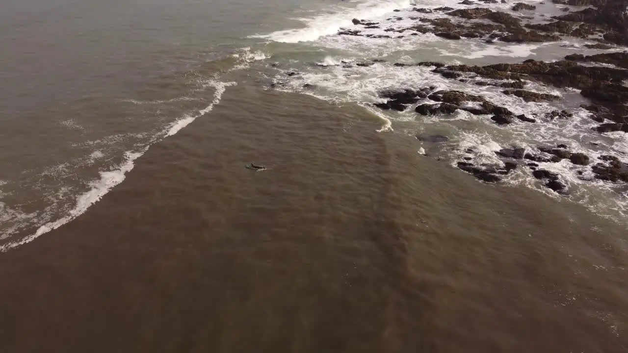 Isolated surfer enters Atlantic Ocean waters of Punta