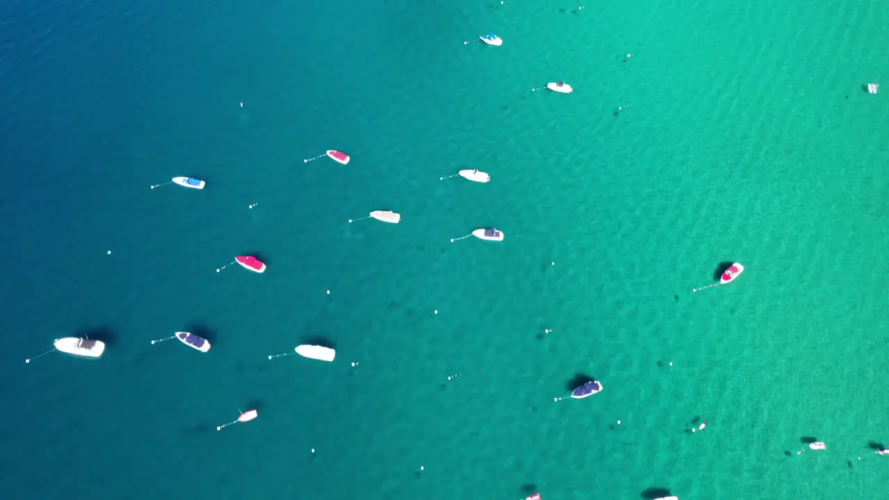 Aerial top view of many moored boats on crystal clear water in Lake Tahoe