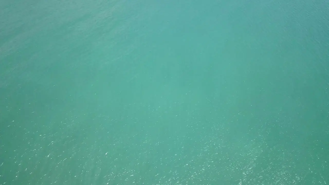 Drone aerial pan up over tropical blue ocean and Daintree rainforest