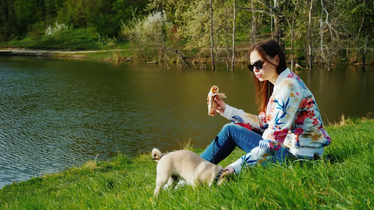 Young Stylish Woman In Sunglasses Walking In The Park With A Dog Of Pug Breed 5