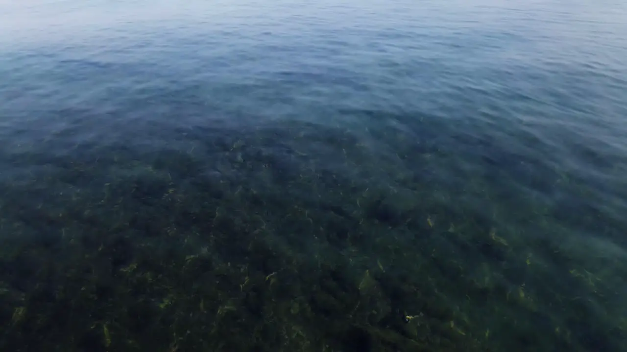 Cinemagraph loop of ocean waves near the coast