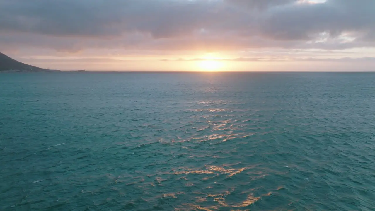 Watching whales in natural environment at dusk Fly above sea surface against setting sun