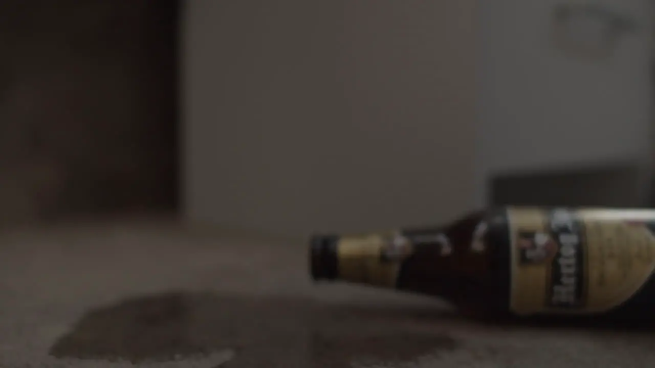 Bottle of beer Focus Close