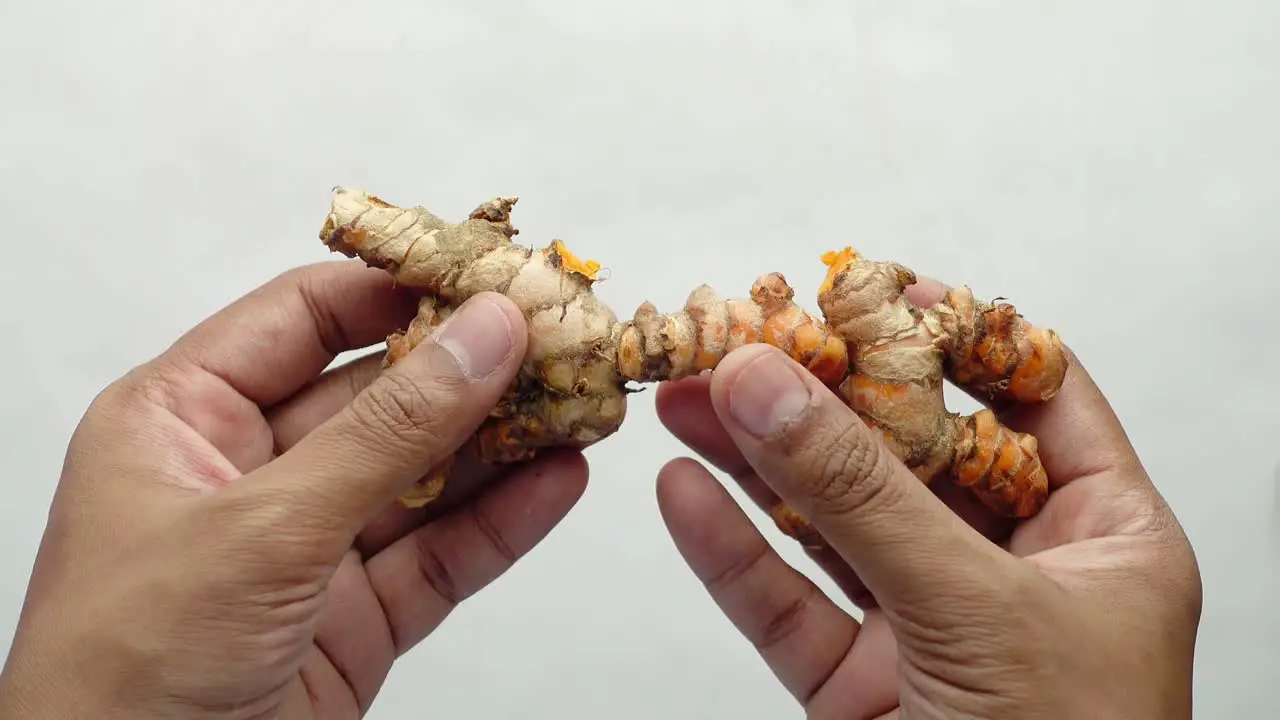 Close up of hand hold a gingers against white background