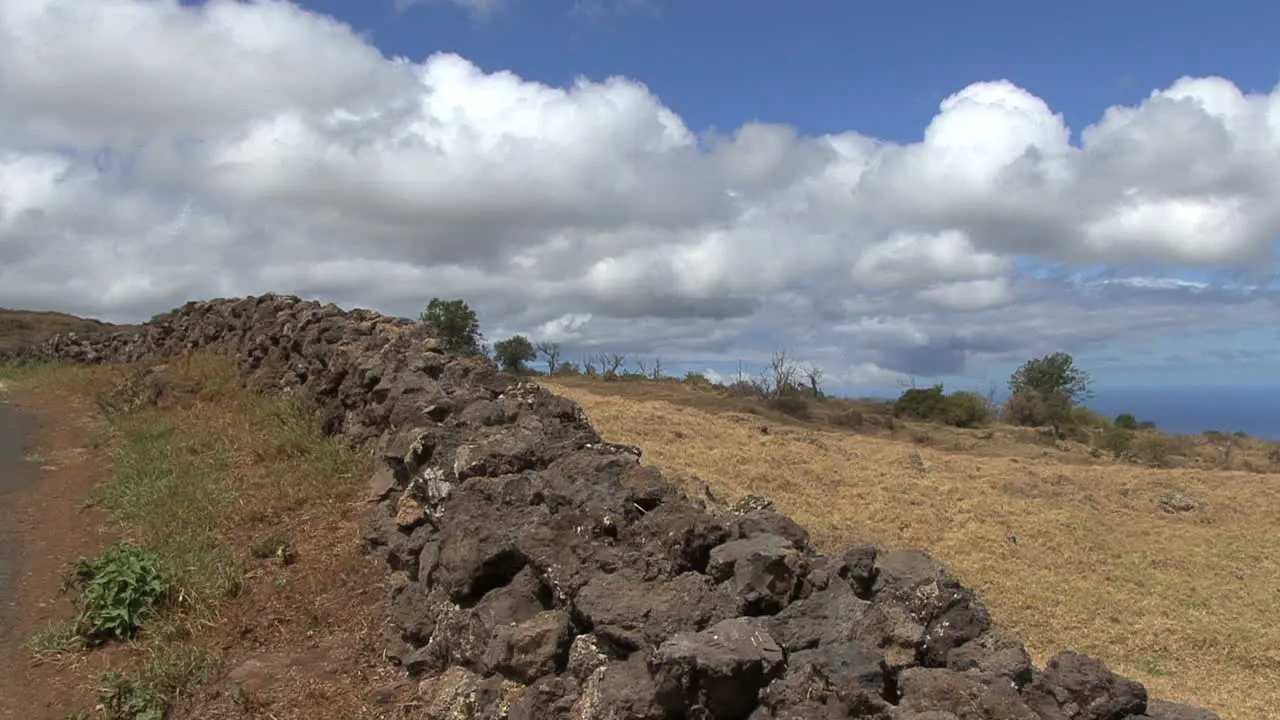 Maui Stone wall in grassland