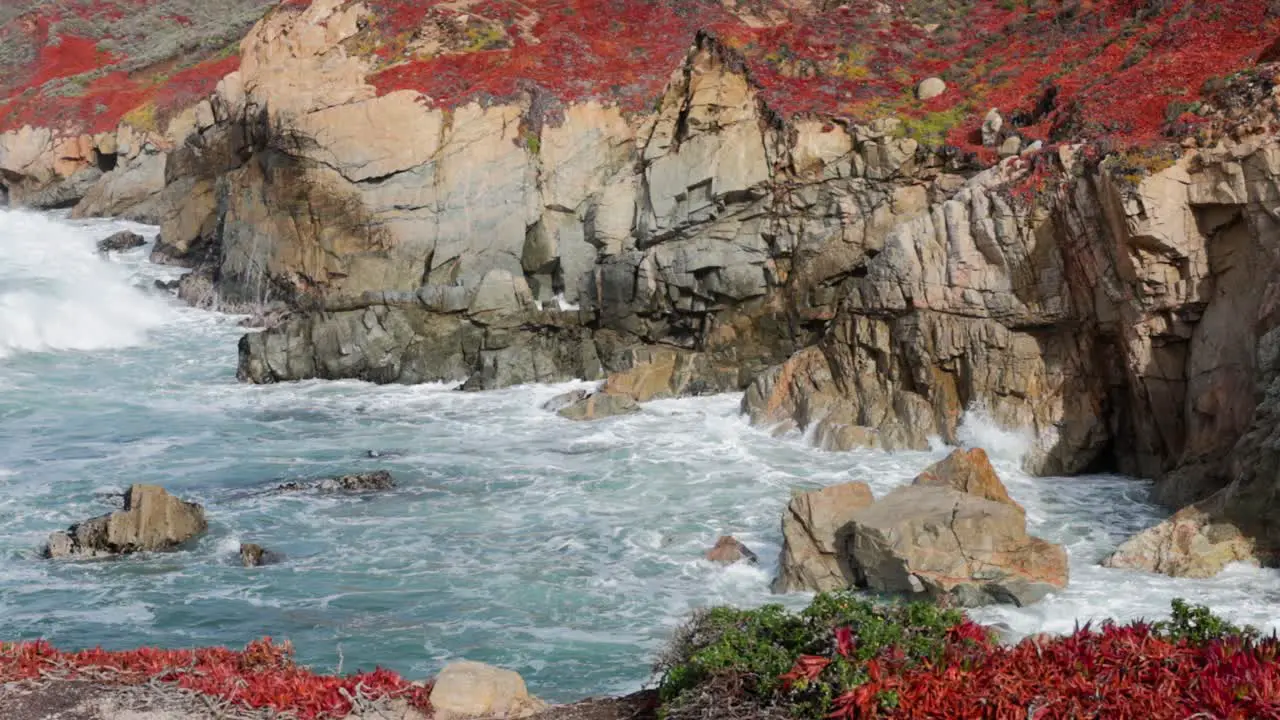 Close shot of Large waves crashing against jagged Big Sur Coastline in Garrapata cliffs covered in red iceplant in Slow Motion