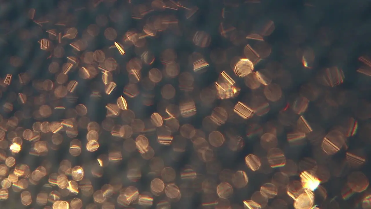 Close up of golden bokeh glowing on a rough surface during a summer sunrise-1