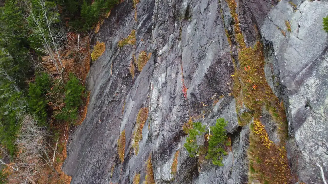 Autumn landscapes rock texture with moss on a cliff in Mount Washington New Hampshire USA