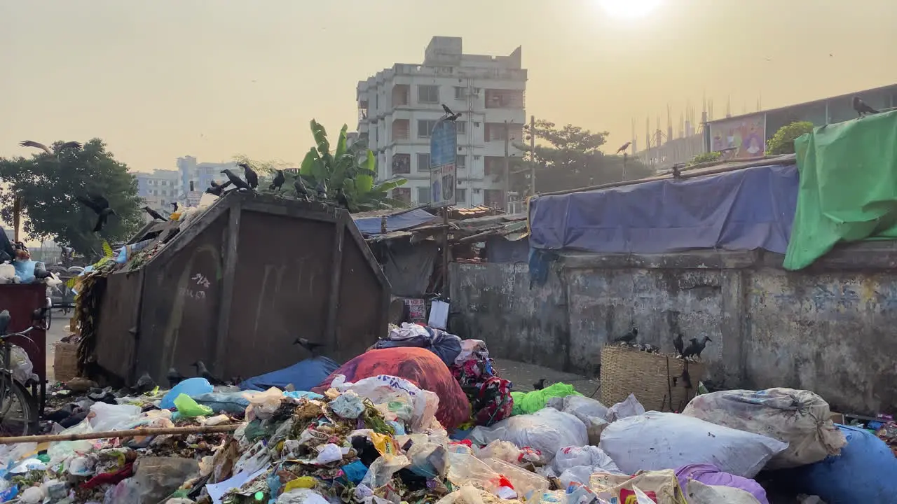 A flock of birds fly over piles of garbage in Dhaka Bangladesh