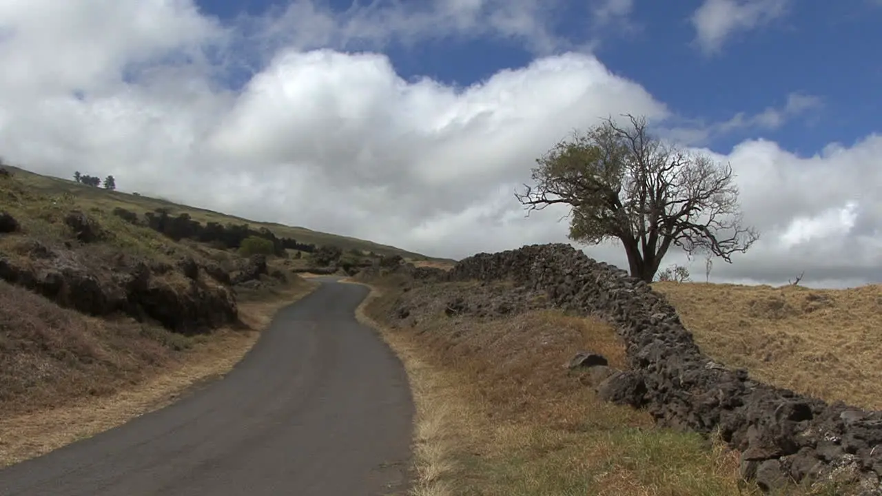 Maui Road and stone wall