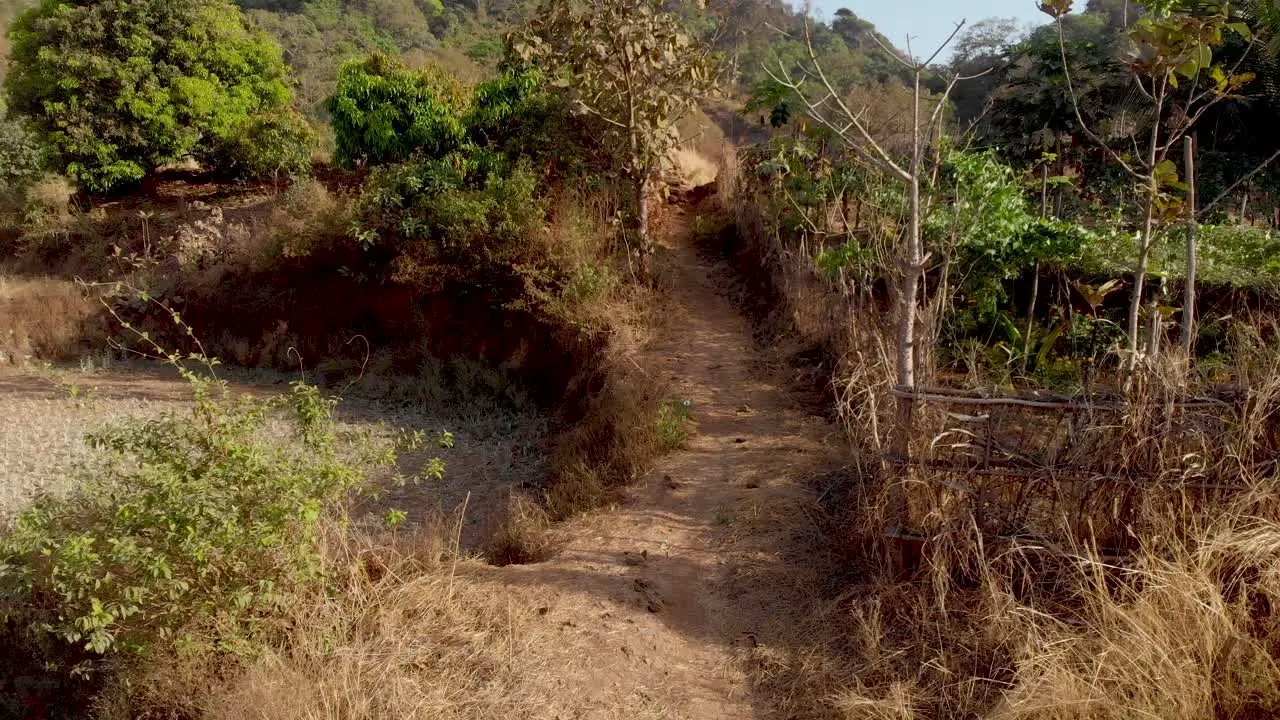 Rising drone shot of a farm dust footpath in a dry Indian hillside step farm