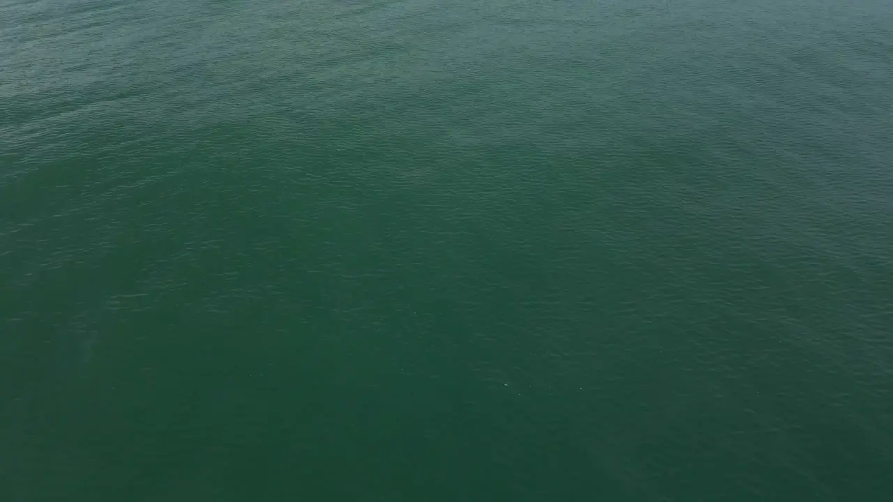 Revealing shot from calm ocean to dense forest with two people walking on the beach