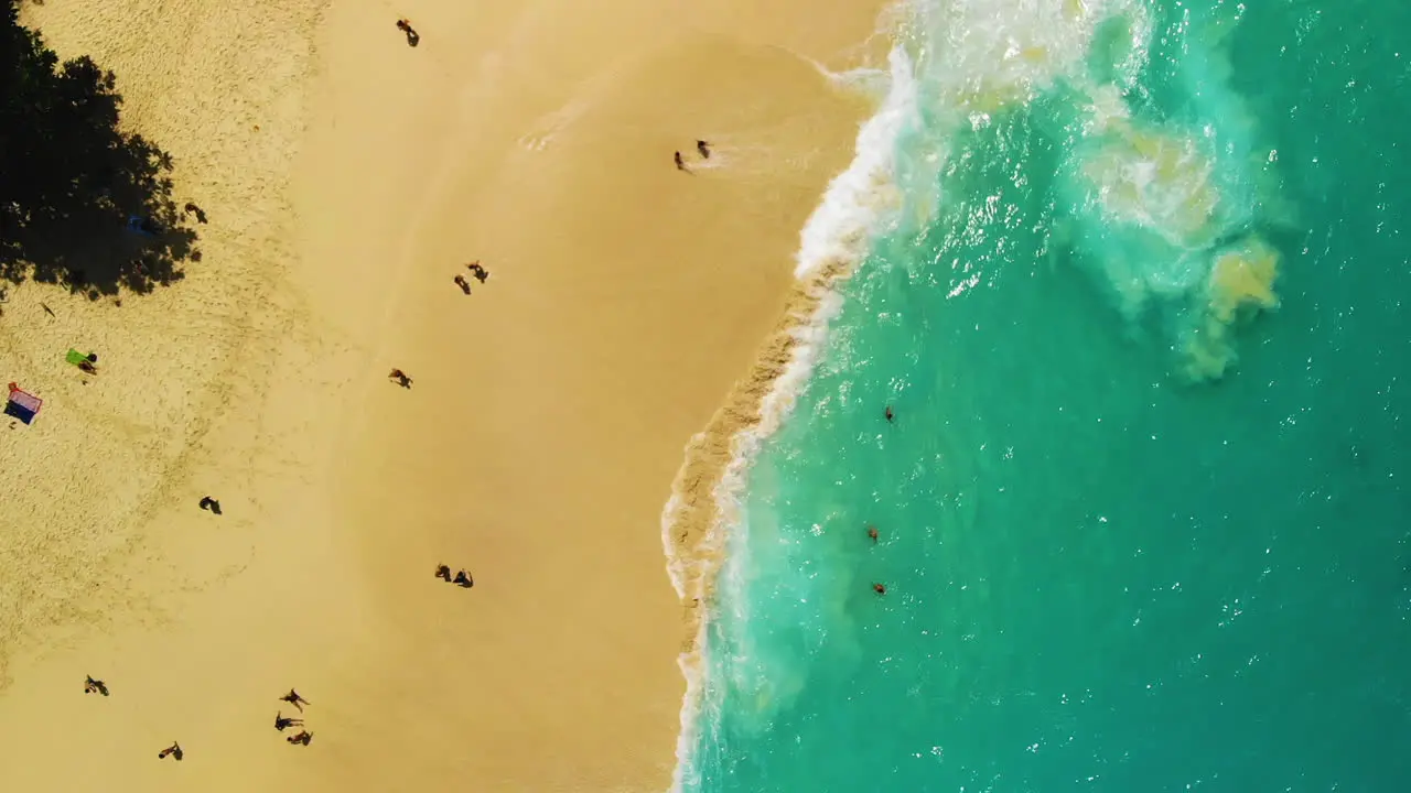 Drone bird's view on a tropical beach with many tourists swimming sun tanning near a turquoise ocean with amazing white waves splashing