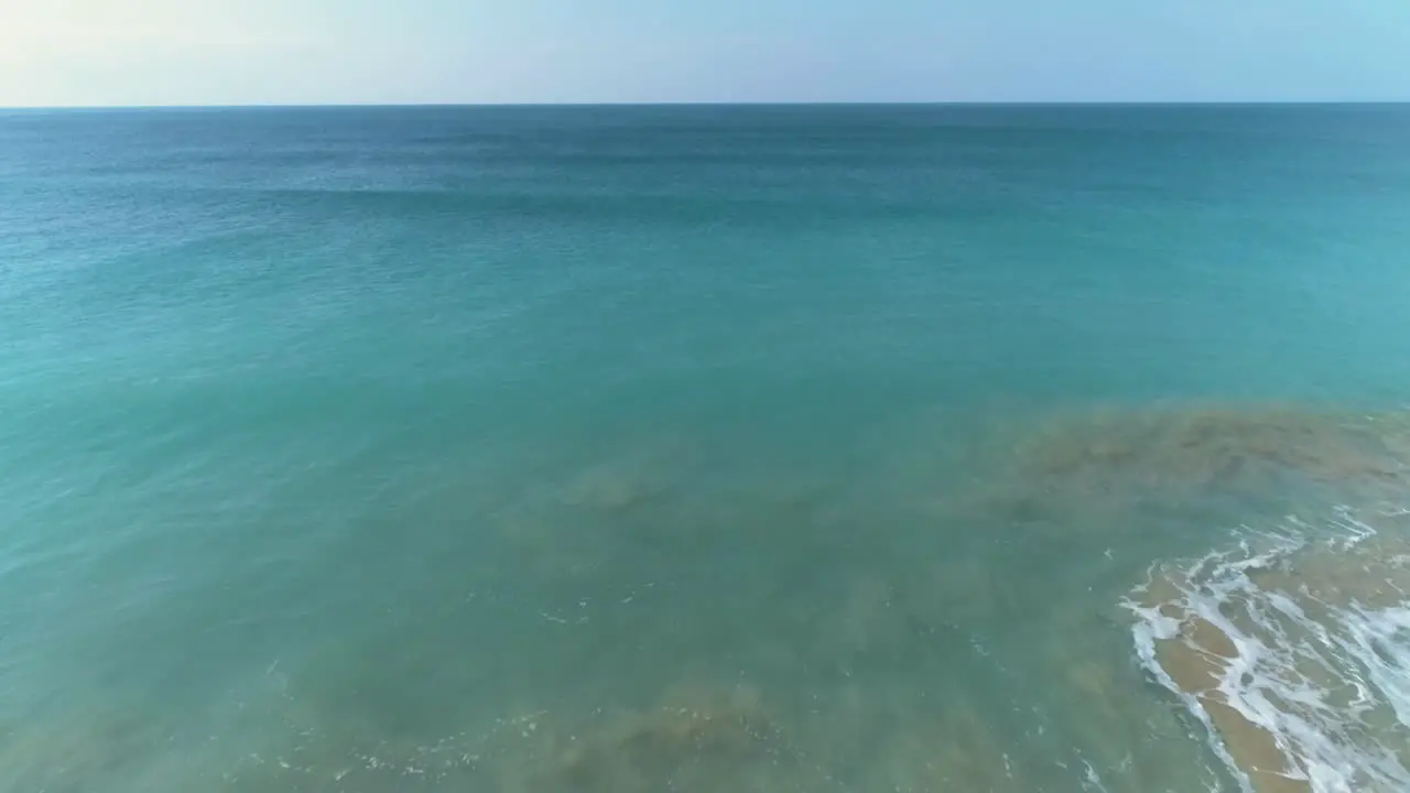 Aerial view flying over person walking a dog on the beach towards to blue ocean