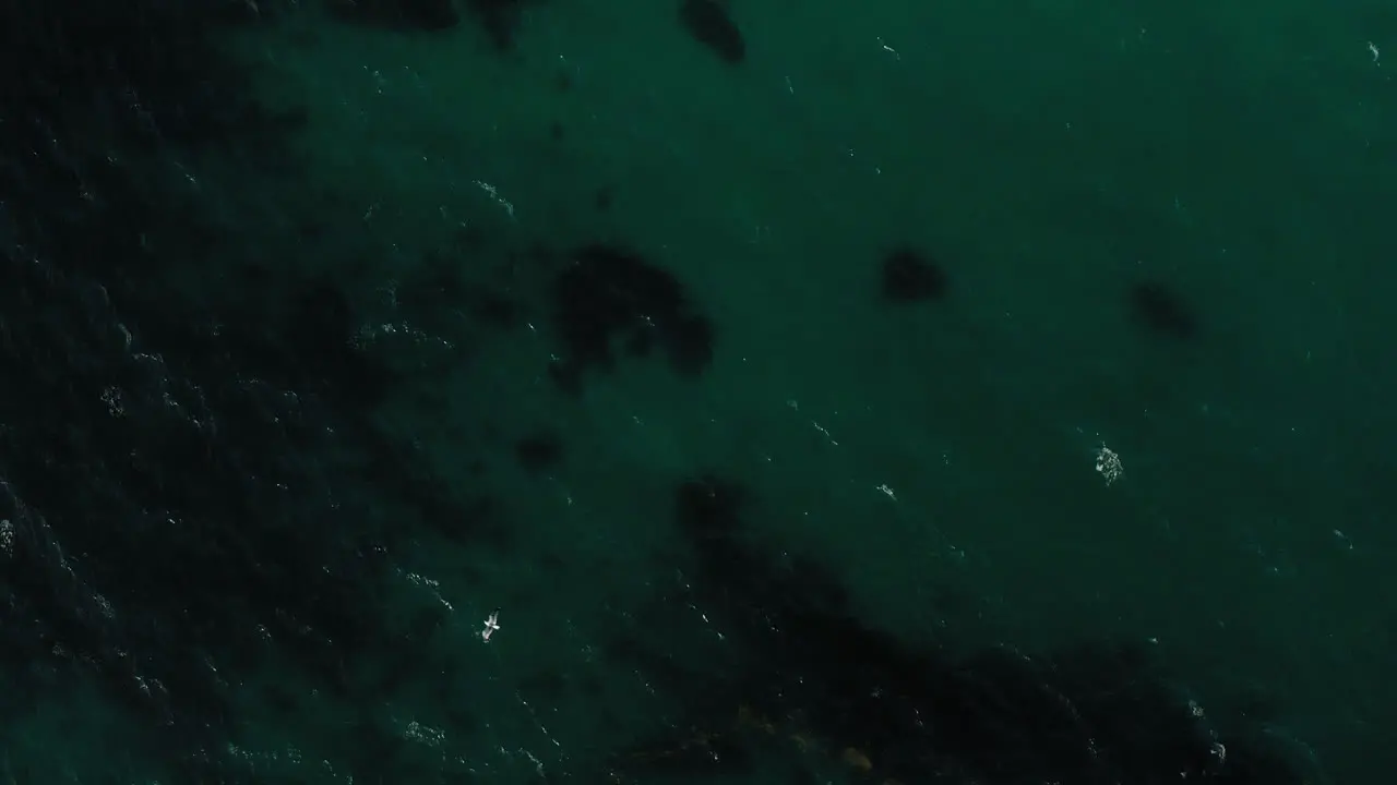 Aerial View Of Turquoise Ocean With Waves Crashing On Rocky Outcrops Revealed