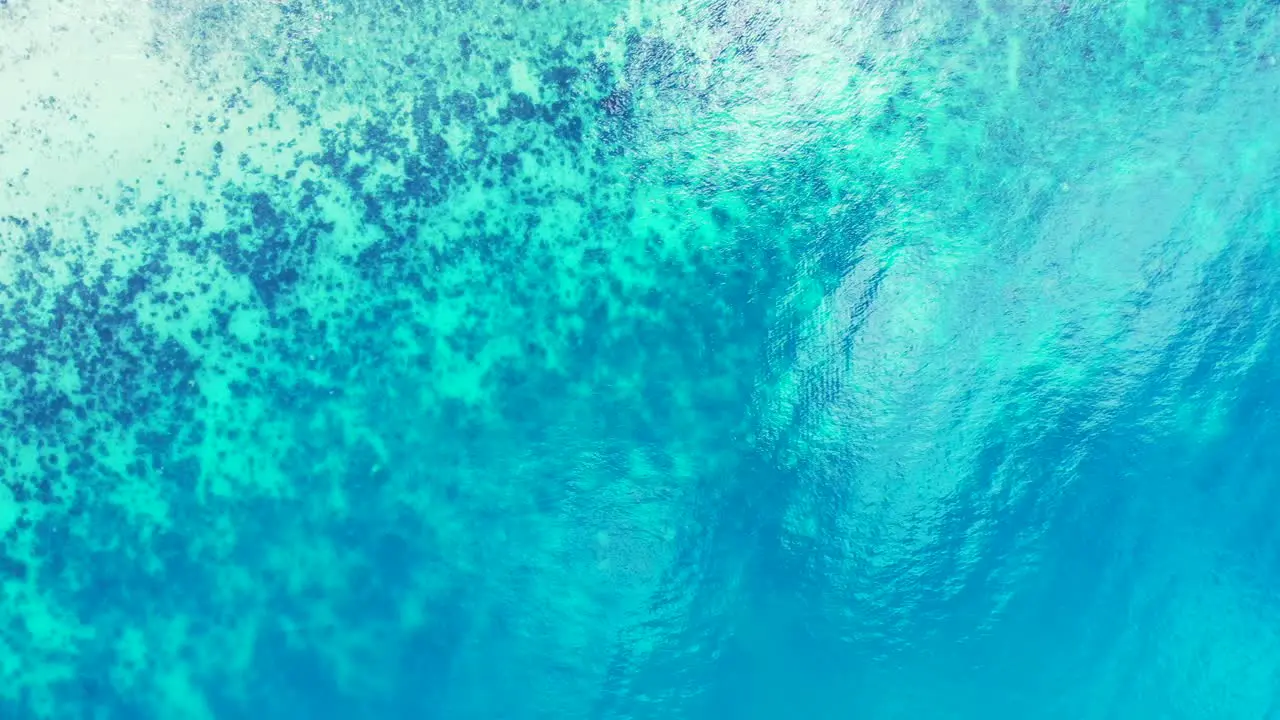 Sea texture with beautiful corals and rocks under calm crystal water of azure lagoon near coastline of tropical island in Caribbean