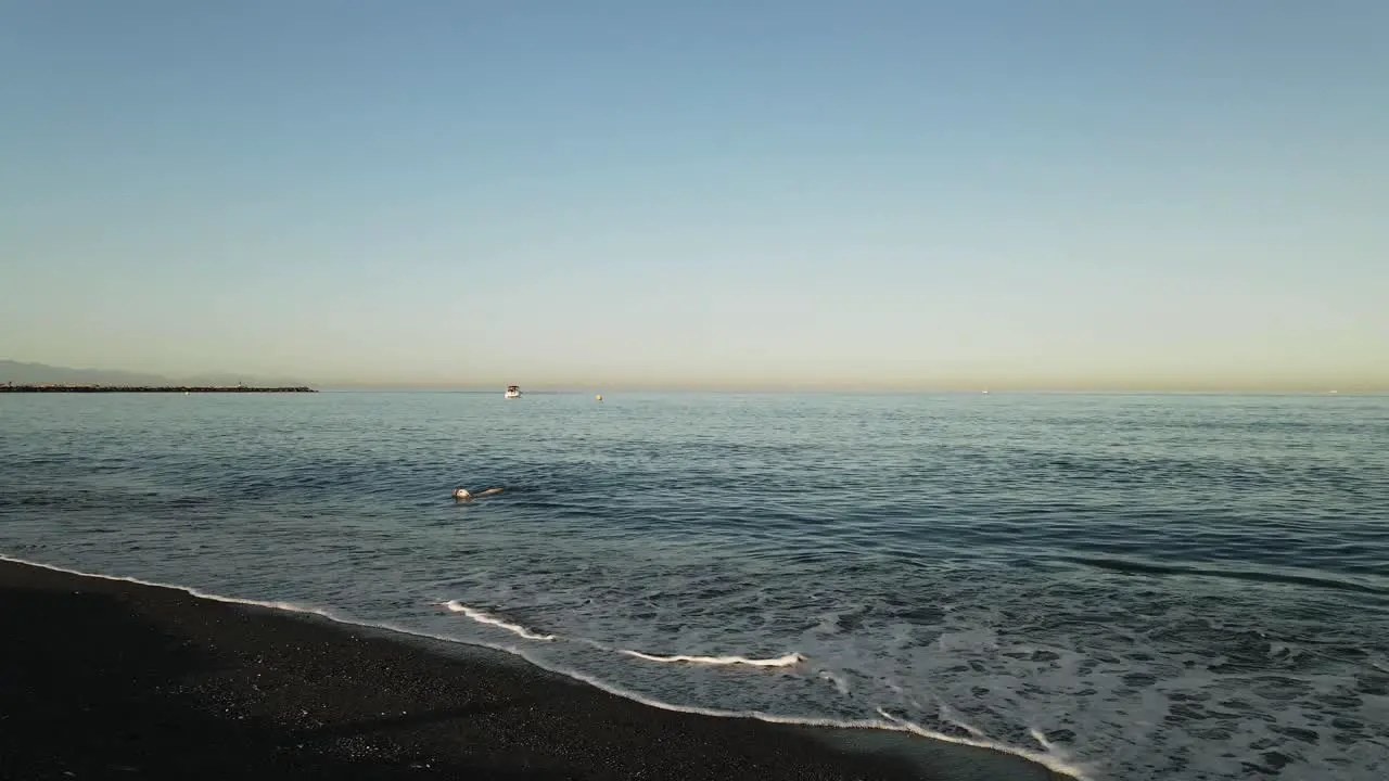 View of the coastline with dog swimming out of the sea