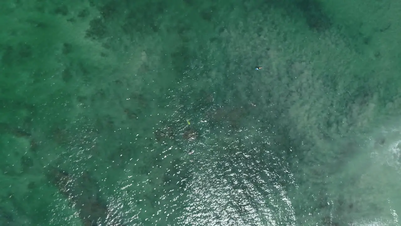 Rising top down aerial as lone surfer paddles out in beautiful blue water 4K