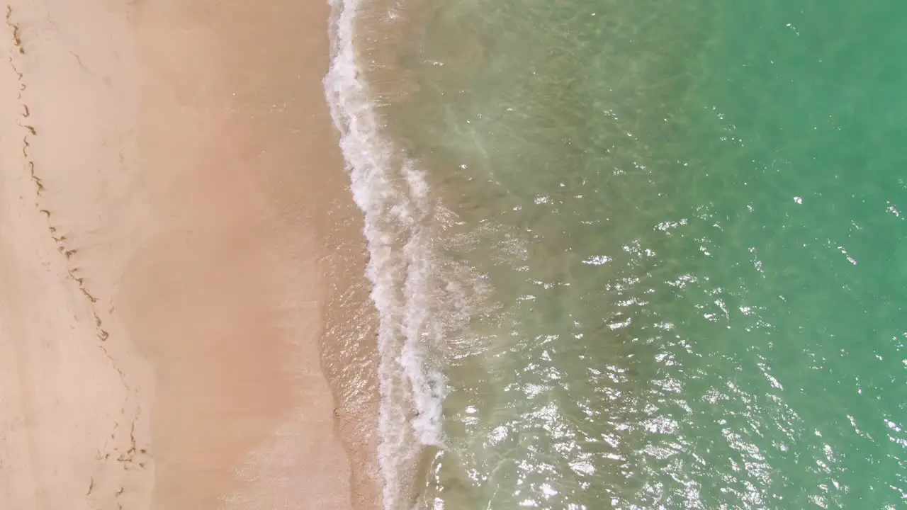 Above aerial shot facing down on luxurious beach with turquoise waters