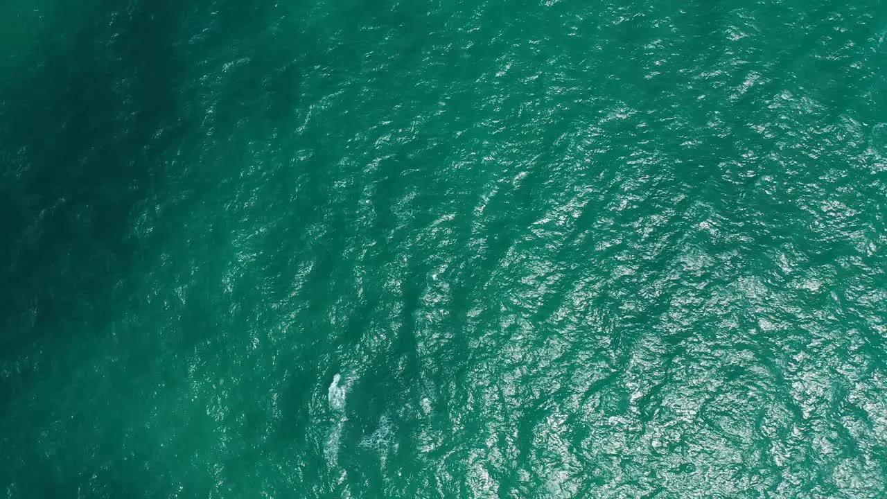 Dark green sea texture with vibrant water reflecting sunlight of a hot summer day coral patterns seen through clear water Antigua