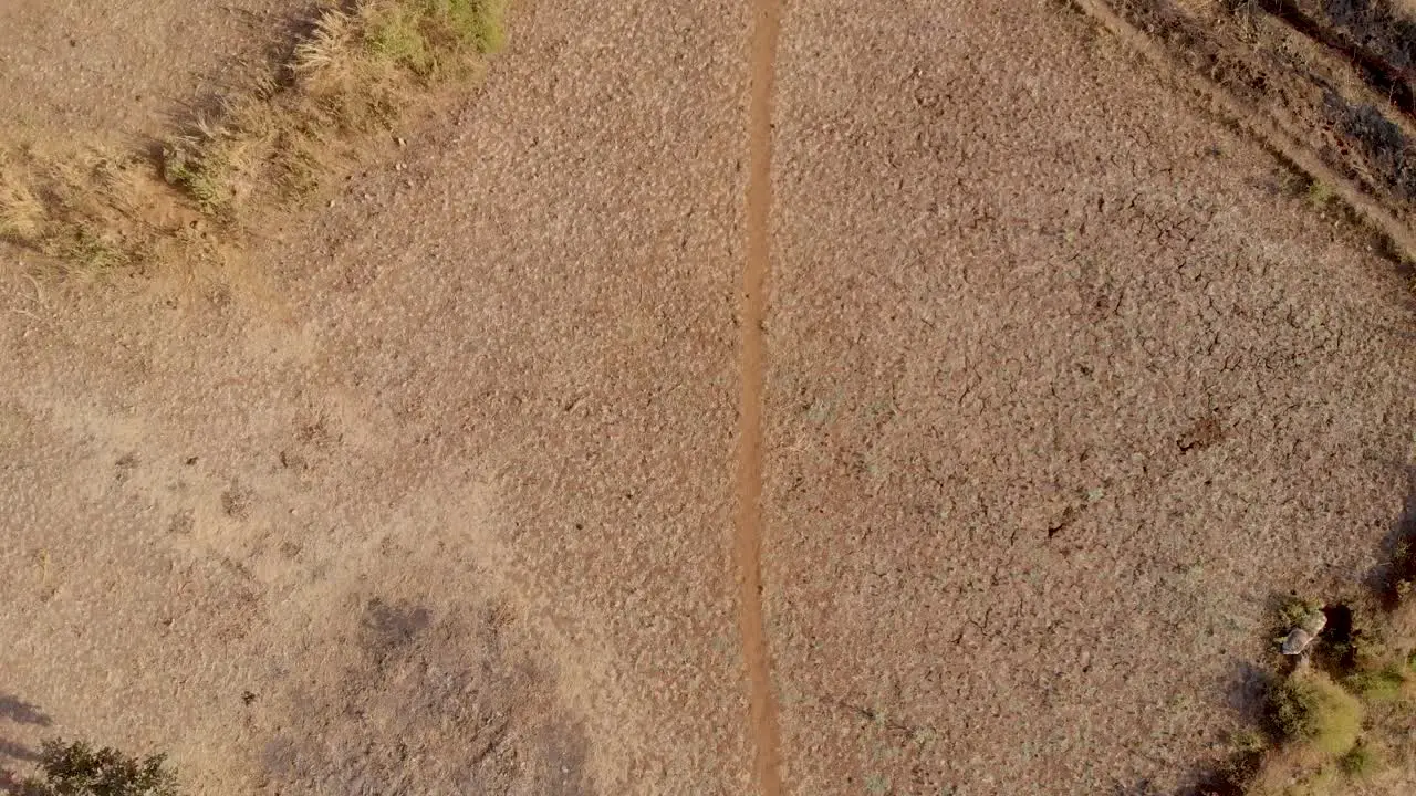 Pan up drone shot of a dry Indian hillside step farm