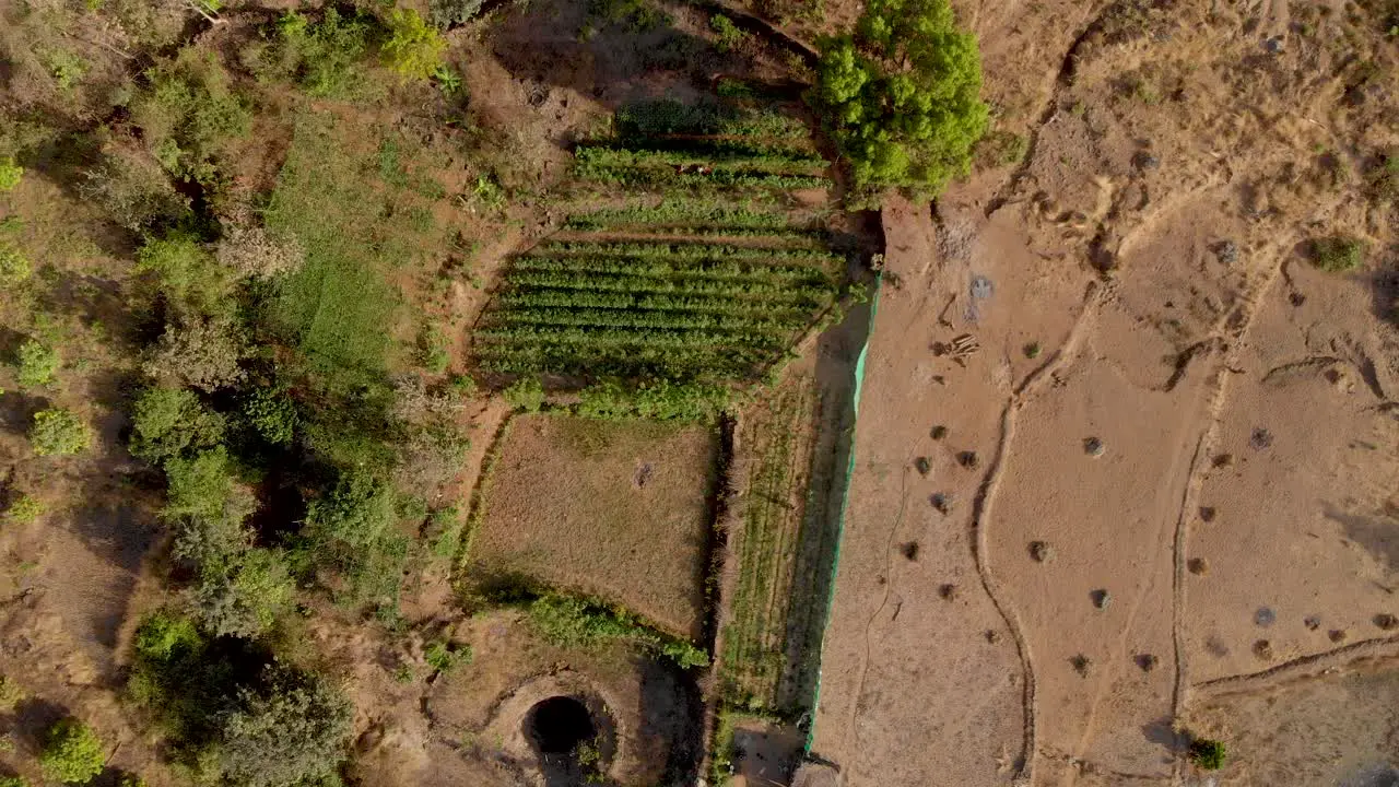 Rising drone shot of a dry Indian hillside step farm