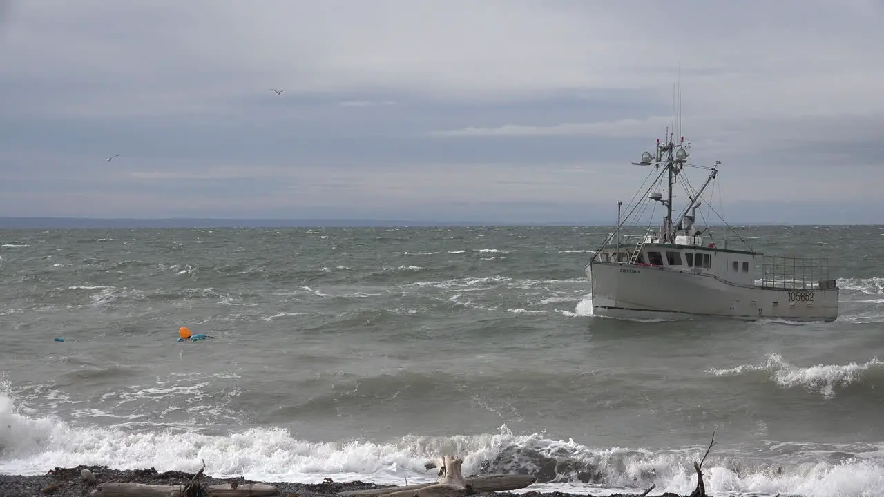 Canada Bay Of Fundy Boat Moves Along Shore