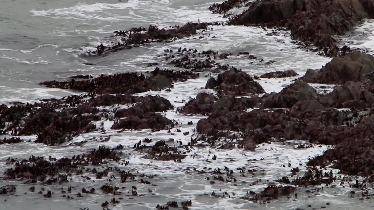 Waves crashing onto rocky shore