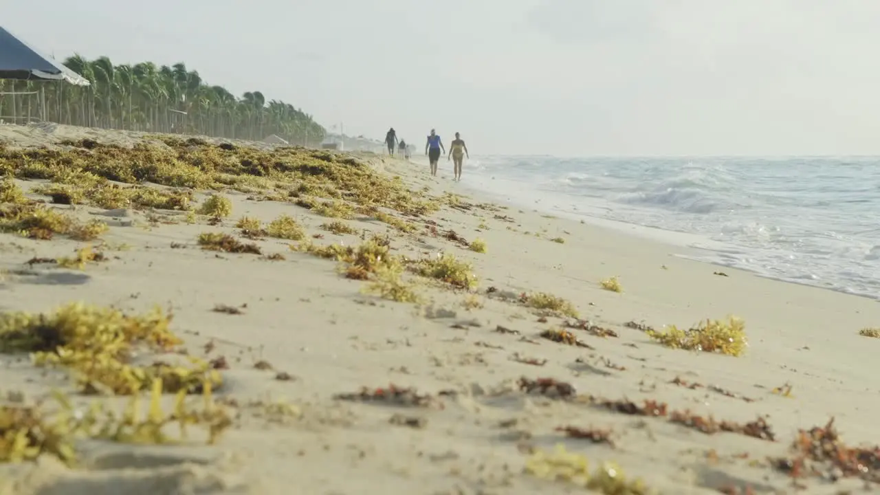 People walking on Mexico Beach on a Windy day