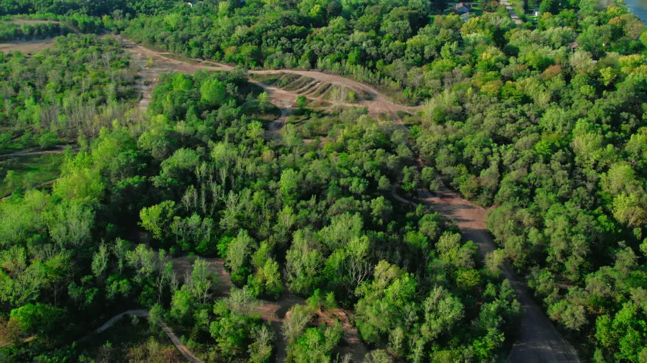 Off Road Bikes Dirt Tracks in the middle of a Green Forest Area Sunnyday