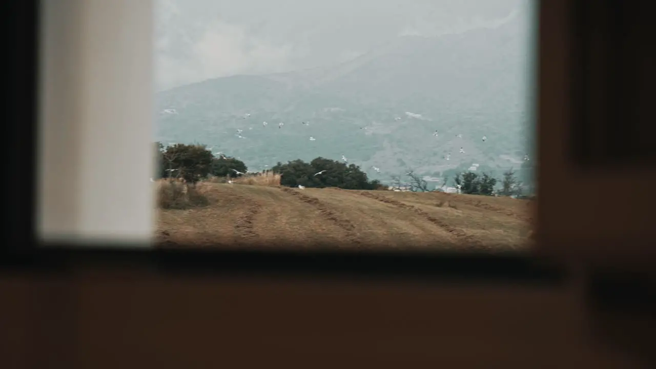 Seagulls flying in slow motion-1